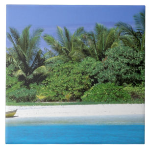 Azulejo De Cerámica Asia, Maldivas. Atolón de machos del norte