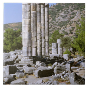 Azulejo De Cerámica Asia, Oriente Medio, Turquía, Éfeso. Templo de