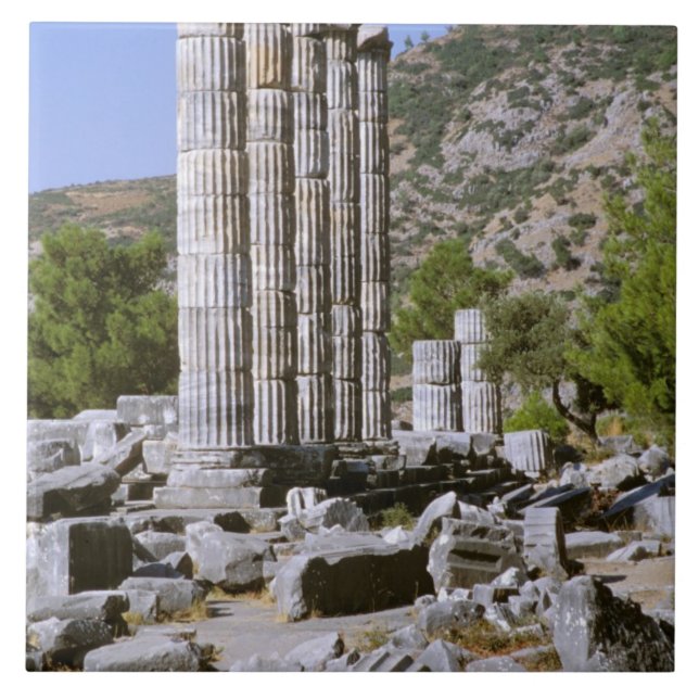 Azulejo De Cerámica Asia, Oriente Medio, Turquía, Éfeso. Templo de (Frente)