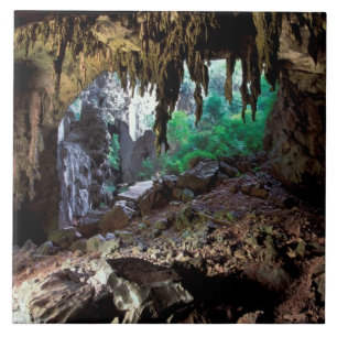 Azulejo De Cerámica Asia, Tailandia, Parque Nacional Bahía de Phangnga