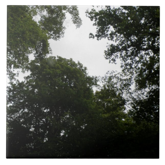 Azulejo De Cerámica Asombroso mosaico forestal (Frente)