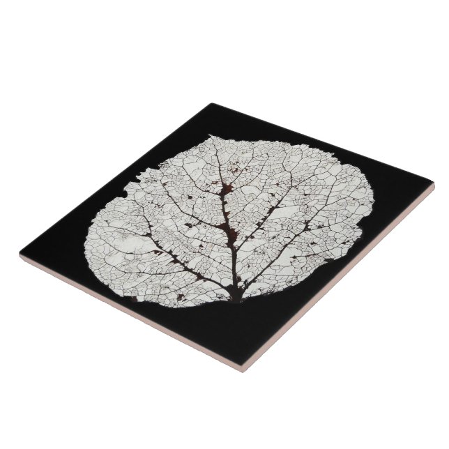 Azulejo De Cerámica Aspen Leaf Skeleton 1 (Lado)