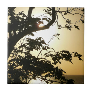 Azulejo De Cerámica Atardecer a través de árboles II Fotografía tropic