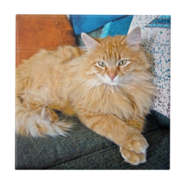 Azulejo De Cerámica Atrapado (Frente)