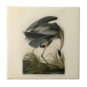 Azulejo De Cerámica Audubon Great Blue Heron Marsh Bird