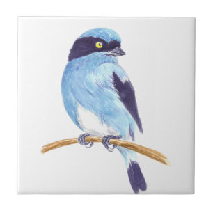 Azulejo De Cerámica Ave azul