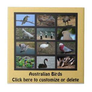 Azulejo De Cerámica Aves de Australia