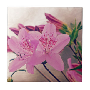 Azulejo De Cerámica Azaleas