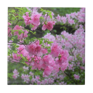 AZULEJO DE CERÁMICA AZALEAS FLORALES CERAMICANAS/ ROSAS