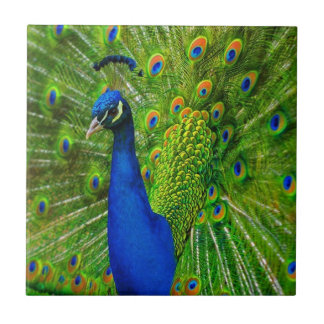 AZULEJO DE CERÁMICA AZUL Y AZUL VERDE DE PIEL CERAMIC