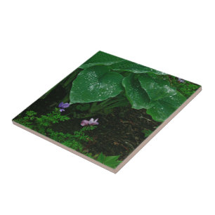 Azulejo De Cerámica Azulejos/ Hostas Cerámicos Decorativos Con Lluvia