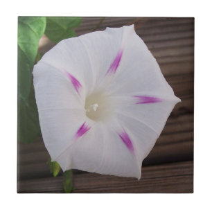 Azulejo De Cerámica azulón