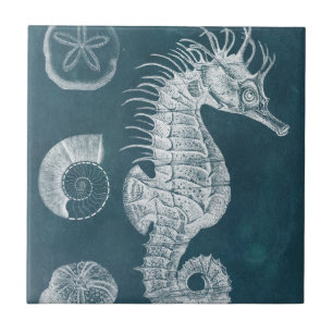Azulejo De Cerámica Azure Seahorse Study I