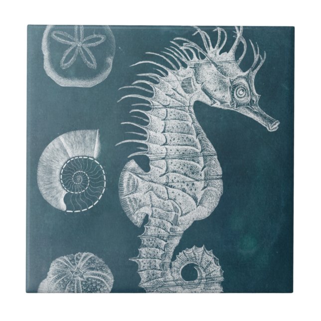 Azulejo De Cerámica Azure Seahorse Study I (Frente)