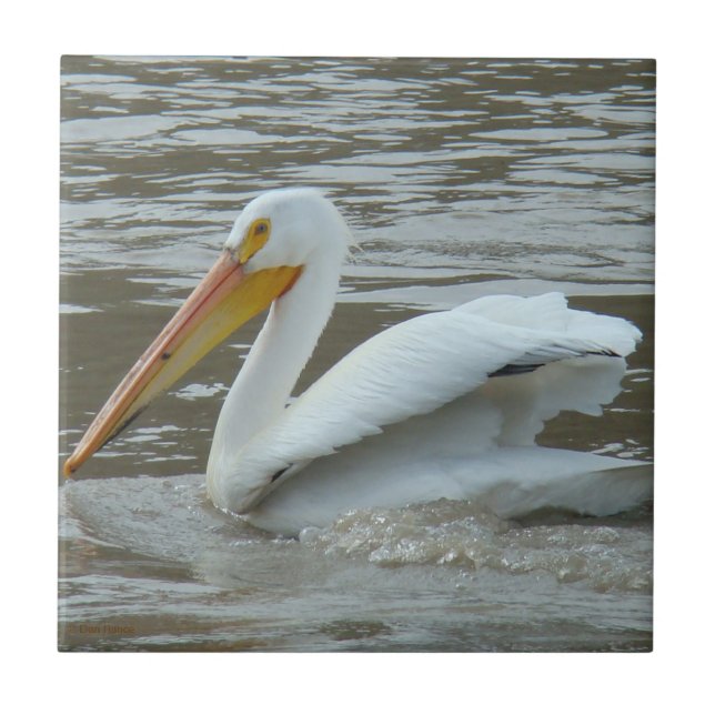 Azulejo De Cerámica B14 Pelican blanco sobre río Muddy (Frente)