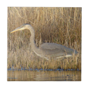 Azulejo De Cerámica B19 Gran Garza Azul Juvenil