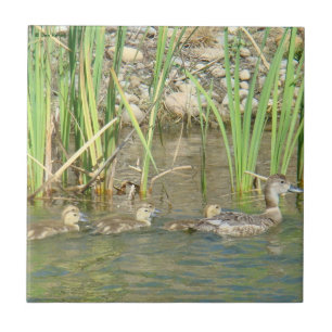 Azulejo De Cerámica B34 Pata y Patitos