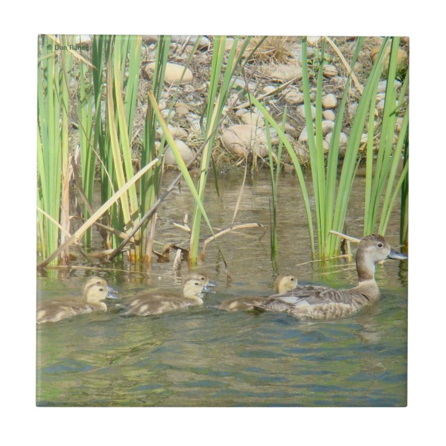 Azulejo De Cerámica B34 Pata y Patitos (Frente)