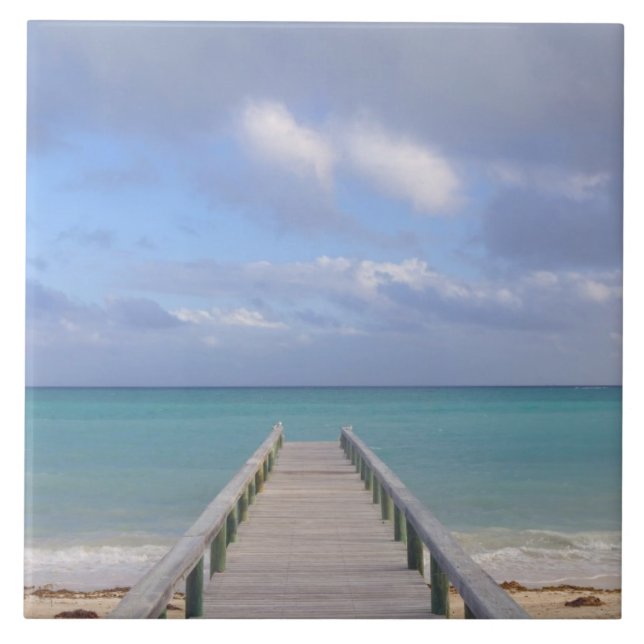 Azulejo De Cerámica BAHAMAS, Isla de Gran Bahama, Lado Este: (Frente)