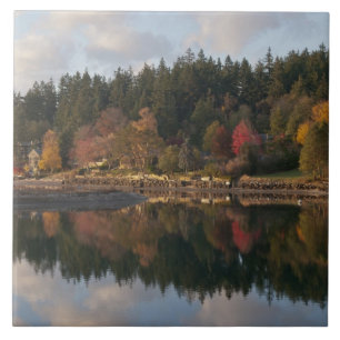 Azulejo De Cerámica Bahía Fletcher