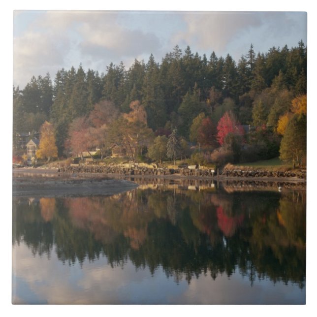 Azulejo De Cerámica Bahía Fletcher (Frente)