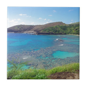 Azulejo De Cerámica Bahía Oahu Hawaii de Hanauma
