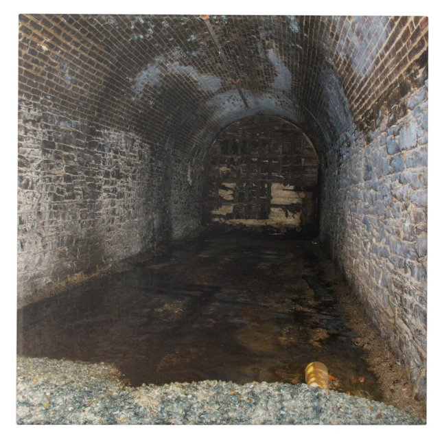 AZULEJO DE CERÁMICA BAJA FOTOGRAFÍA SUBTERRÁNEA (Frente)