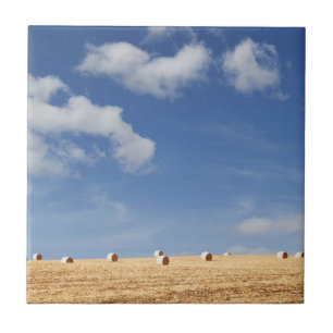 Azulejo De Cerámica Balas de heno en campo