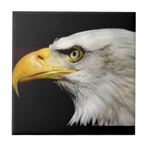 Azulejo De Cerámica Bald Eagle