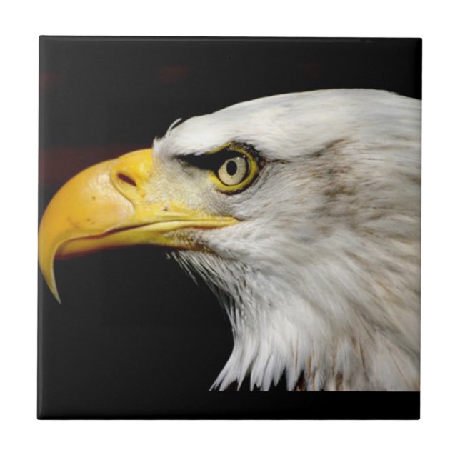 Azulejo De Cerámica Bald Eagle (Frente)