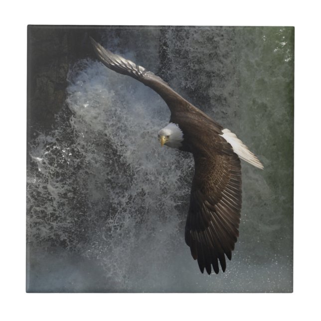 Azulejo De Cerámica Bald Eagle Raptor Wildlife Waterfall Tile (Frente)