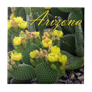 Azulejo De Cerámica Baldosa, Foto de Cactus de Tuna Prickly de Arizona