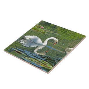 AZULEJO DE CERÁMICA BALDOSAS/TRIVET CERAMIC, "SWAN ON LILY POND"