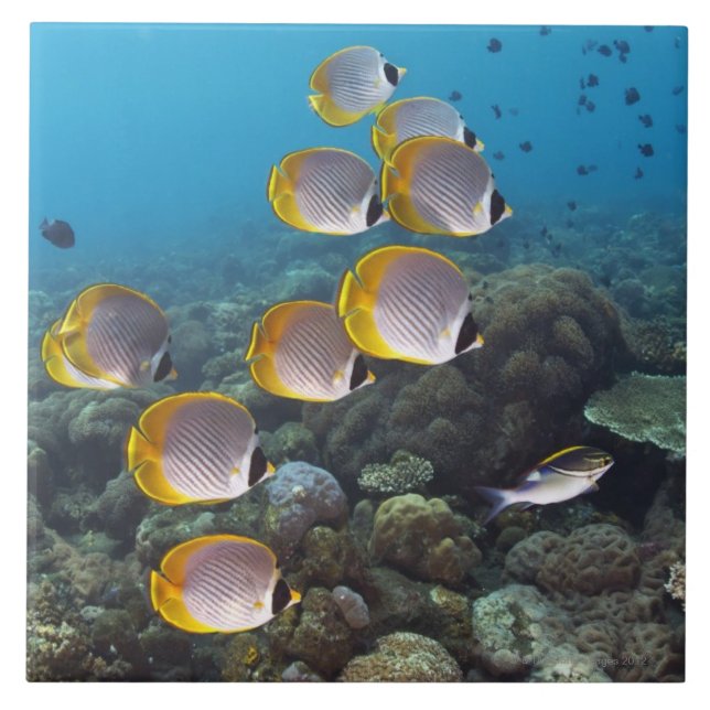 Azulejo De Cerámica Bali, Indonesia (Frente)