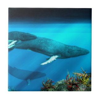 Azulejo De Cerámica Ballenas jorobadas