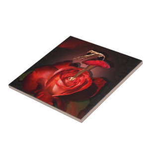 Azulejo De Cerámica Ballerina Rosa - Tile cerámico