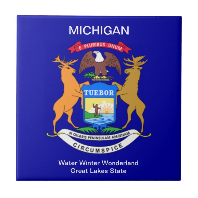 Azulejo De Cerámica Bandera de Michigan (Frente)