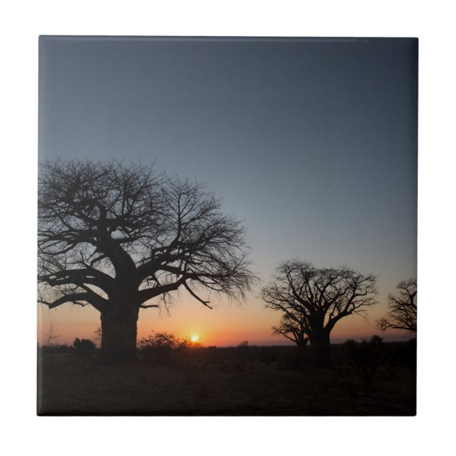 Azulejo De Cerámica Baobabs sagrados (Frente)
