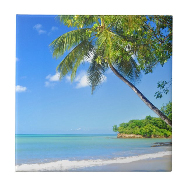 Azulejo De Cerámica Barbados (Frente)