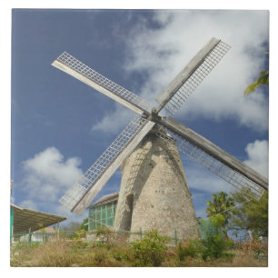 Azulejo De Cerámica BARBADOS, Costa Noreste, Morgan Lewis: Morgan