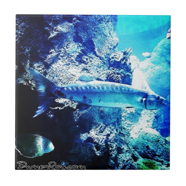 Azulejo De Cerámica Barracuda (Frente)