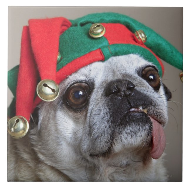 Azulejo De Cerámica Barro amasado de mirada divertido con la lengua (Frente)