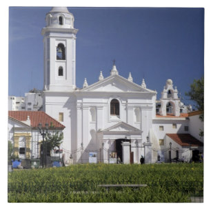 Azulejo De Cerámica Basílica Nuestra Señora del Pilar en Recoleta