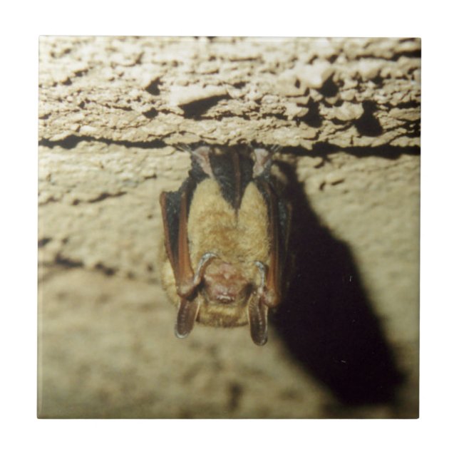 Azulejo De Cerámica Bat (Frente)