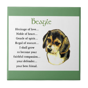 Azulejo De Cerámica Beagle Heritage of Love