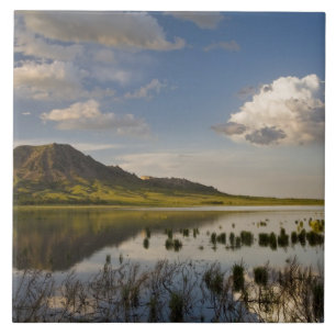 Azulejo De Cerámica Bear Butte se refleja en Bear Butte Lake cerca