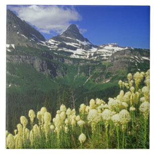 Azulejo De Cerámica Beargrass en Logan Pass en Glacier National Park