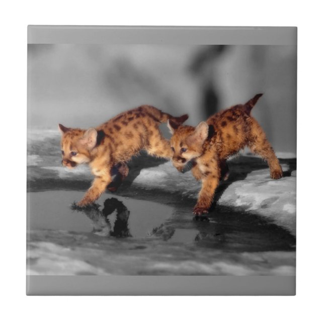 Azulejo De Cerámica Bebé leopardo (Frente)