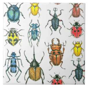 Azulejo De Cerámica Beetles