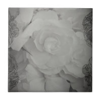 Begonia blanca